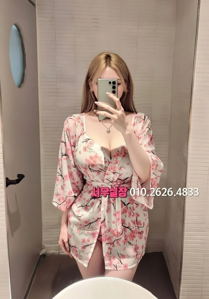 문정동 란제리룸 추천 및 검증된 최상급 프리미엄 업소 스크린샷